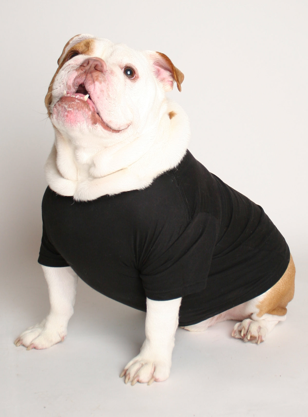 Huge Ears Worst Listener Dog Tee