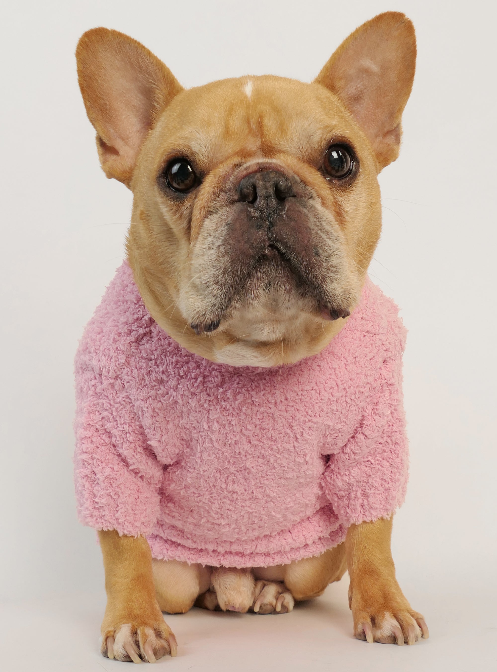 Coco Dog Sweater