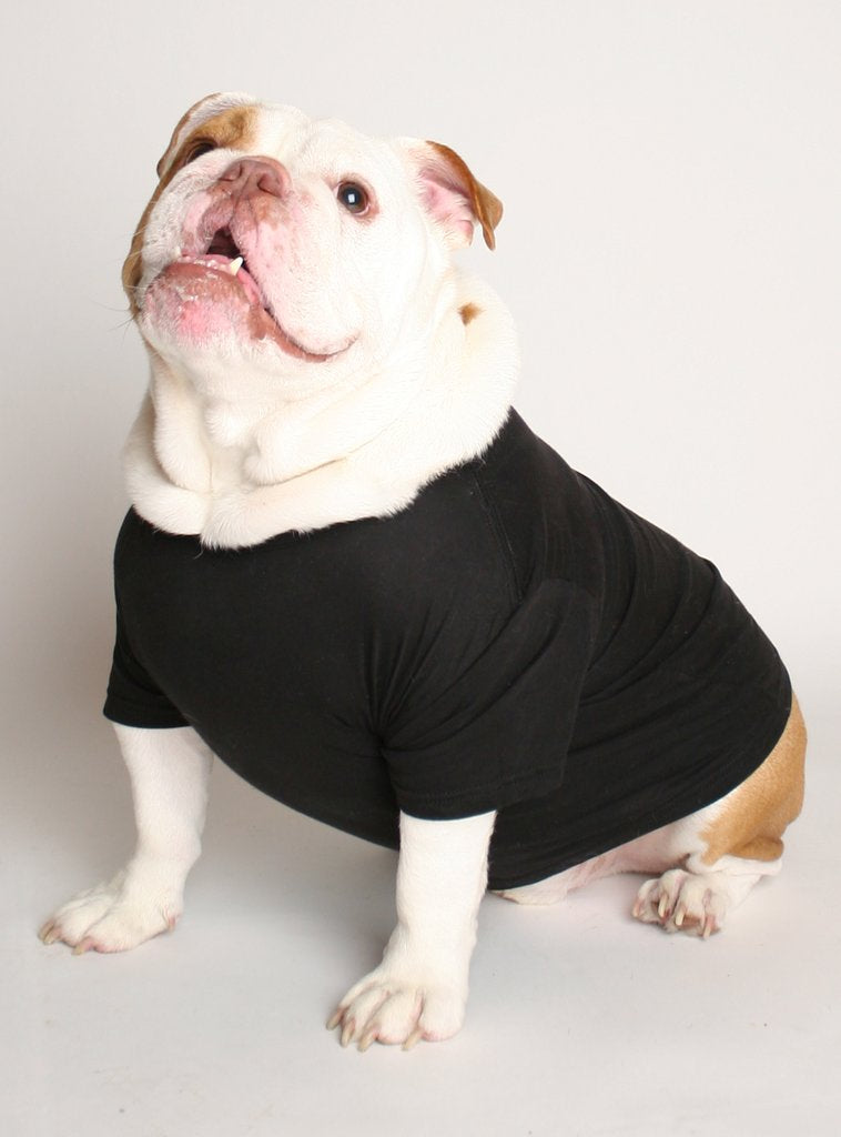 Friendly + Not Friendly (2-Pack) Dog Tee