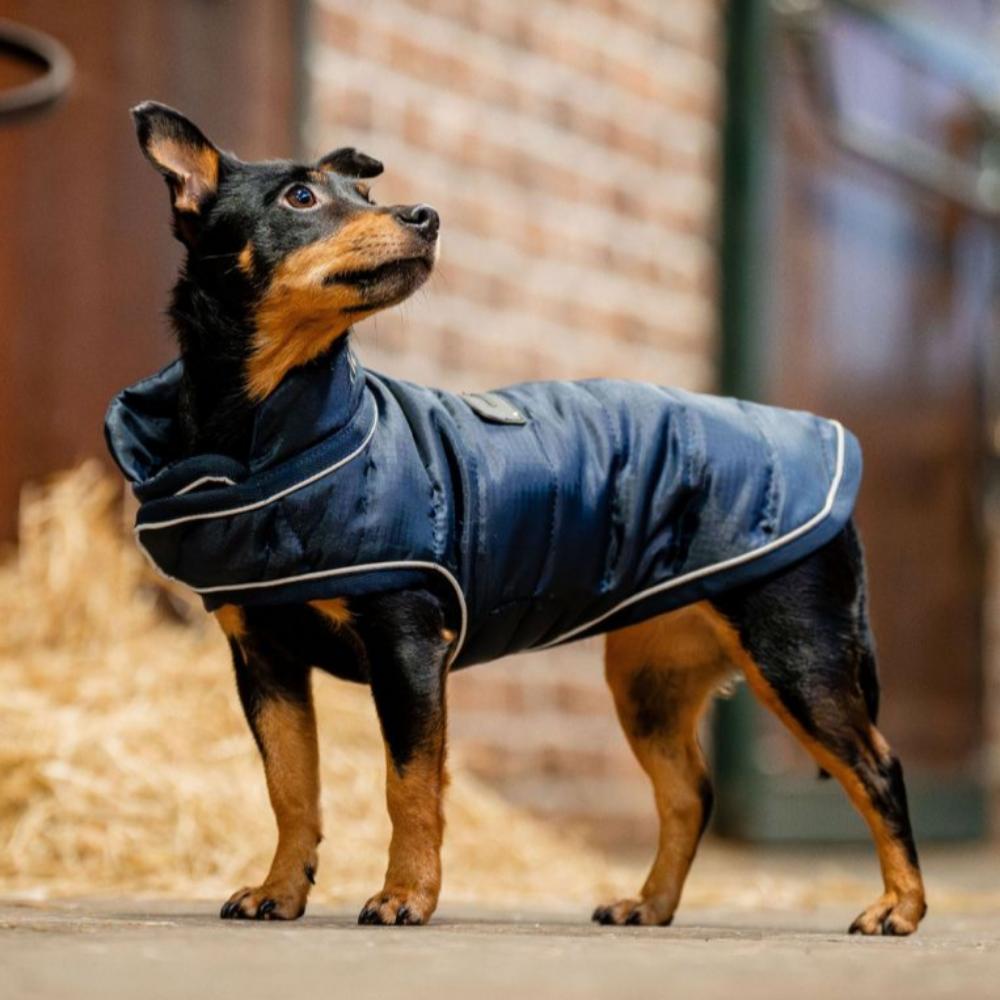 Horseware® Signature Dog Blanket (200g Medium)